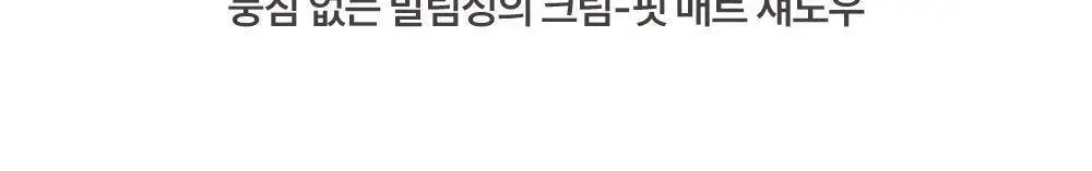 [발색천재] VDL 아이스테인 에센셜 섀도우 듀오 상세페이지 19